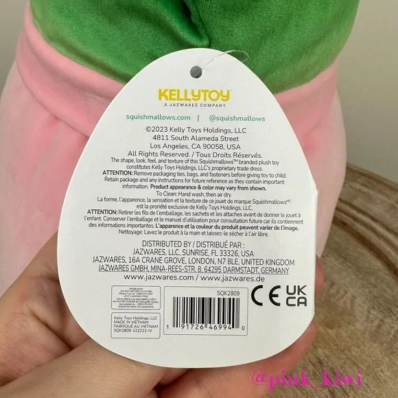 Squishmallows 14” Afiyah the Succulent - Picture 12 of 16